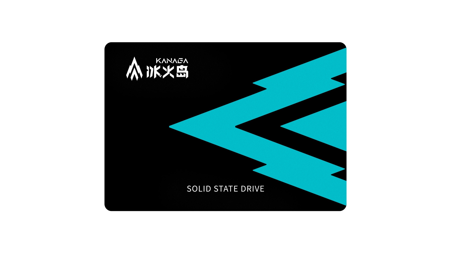 Kanaga 110 SATA SSD