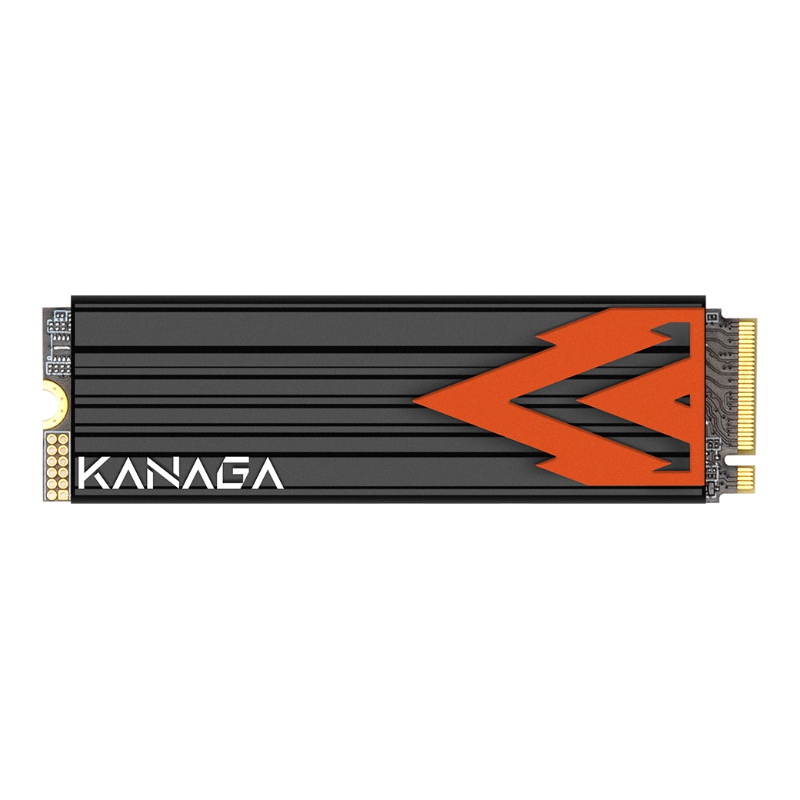 Kanaga 420 PCIe 4.0 SSD
